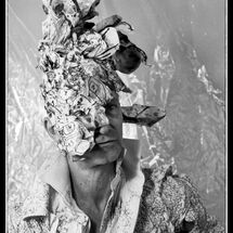 7 Enchanted Bodies at Blyth Gallery