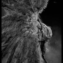 80 Cabrole´ Dress Rehearsal