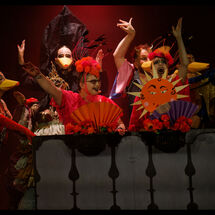 81 Cabrole´ Performance