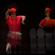 86 Cabrole´ Performance