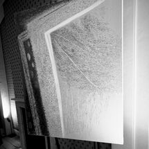 34 Antoni Malinowski Blog