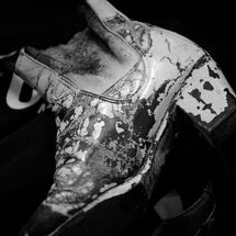 14 Cabrole´ R and D at SA