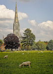 SALISBURY CATHERDRAL