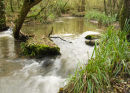 RIVER MELLS
