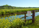 Glastonbury Tor