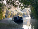 Frosty Morning