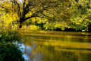AUTUMN RIVER