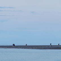 Hunstanton Beach Walkers
