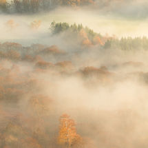 The View from Yew Crag