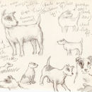 Working sketches