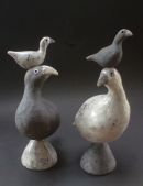 Pair of Crazy Birds.