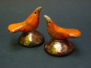 Orange Peckers