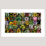 Garden (15) Archival Digital Print 108 x 69cm