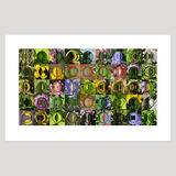 Garden (3) Archival Digital Print 108 x 69cm