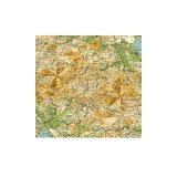 1920, Archival Digital Print, 35 x 35cm