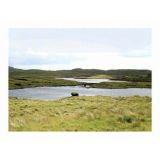 Balallan, Archival Pigment Print, 35 x 25cm