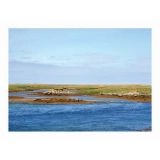 Benbecula, Archival Pigment Print, 35 x 25cm