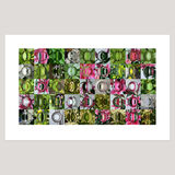 Garden (7) Archival Digital Print 108 x 69cm