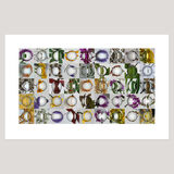 Garden (12), Archival Digital Print 108 x 69cm