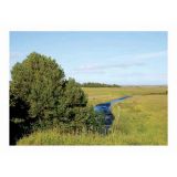 Laxdale, Archival Pigment Print, 35 x 25cm