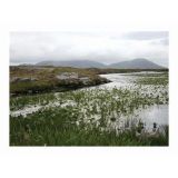 Lochboisdale, Archival Pigment Print, 35 x 25cm