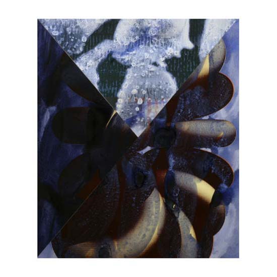 Rings (1), 43 x 51cm