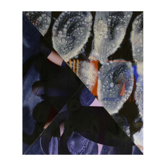 Rings (7), 43 x 51cm
