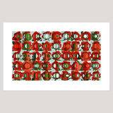 Rosa Chinensis, Archival Digital Print 108 x 69cm