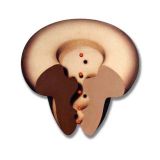 Shaped Channel 1, Acrylic/Canvas/Board, 40 x 40cm