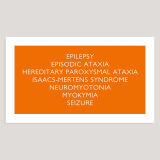 KV1(1) Mutation Symptoms, Archival Pigment Print, 30 x 16cm