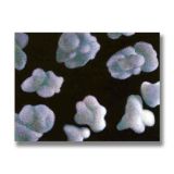 Urea (2), Acrylic on Canvas, 60 x 45cm