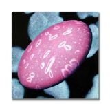 Urea (6), Acrylic on Canvas, 45 x 45cm