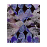 Violet and Silver Collage (6), 27.5 x 33cm