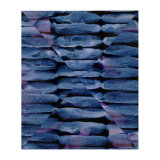 Blue and Violet Collage (1), 28 x 33cm