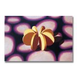 Yellow Form, Acrylic on Canvas, 183 x 122cm