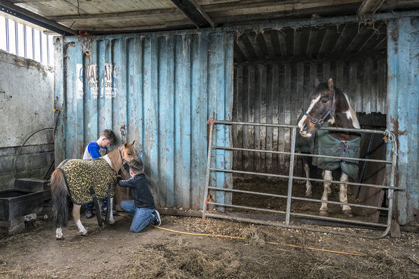 Johnny and Fono in Horse Stable, Limerick, Ireland 2021
