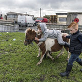 Two Boys and Pony, Galway, Ireland 2019