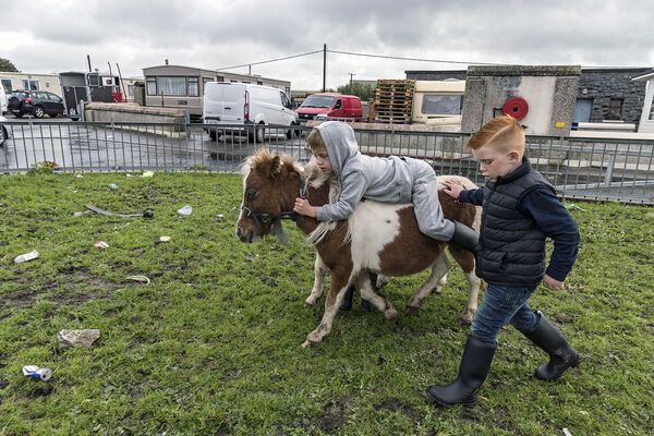 Two Boys and Pony, Galway, Ireland 2019