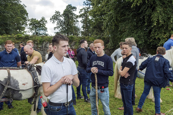 Three Young Horse Traders, Carlow, Ireland 2023