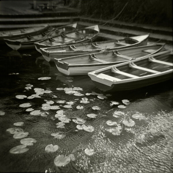 Boats and Waterlilies, Corofin, Co. Clare, Ireland 2012