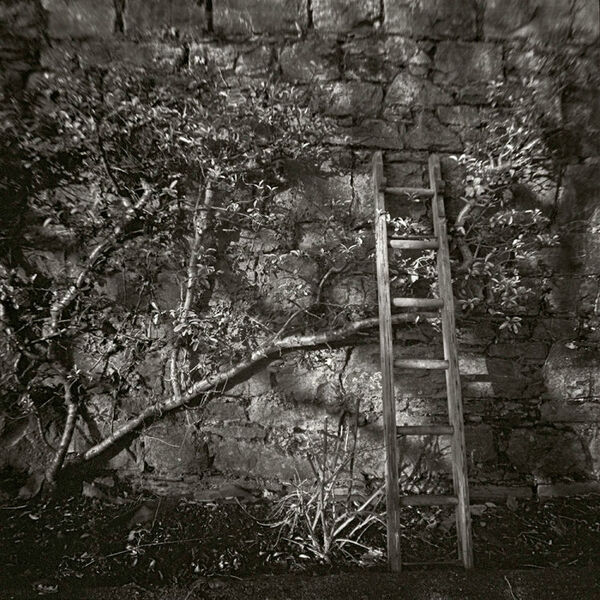 Ladder, Tipperary, Ireland 2013
