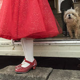 Alesha's Red Dress and Shoes, roadside campsite, Tipperary, Ireland New Year Day 2019