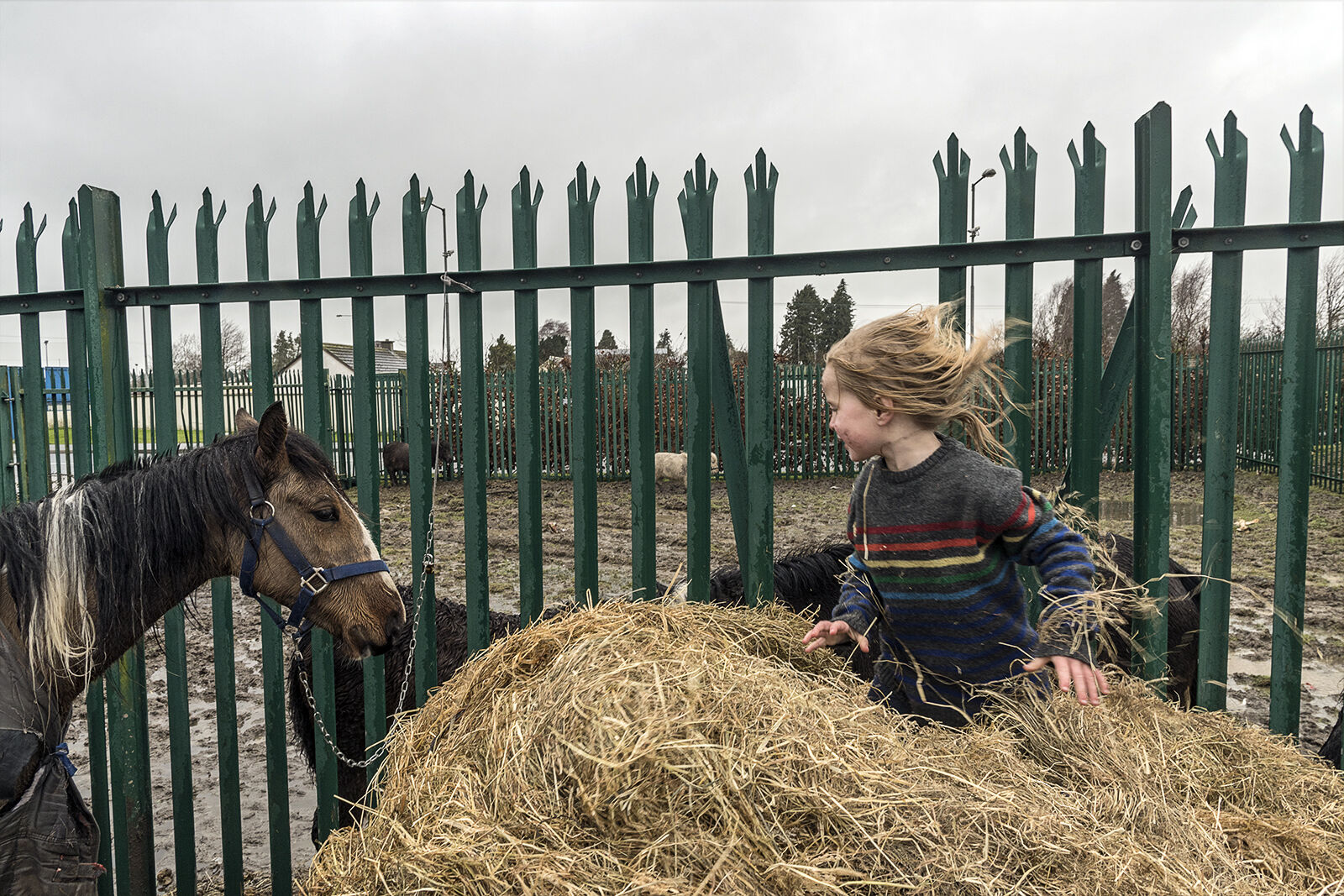 Amy and Horse, Tipperary, Ireland 2020