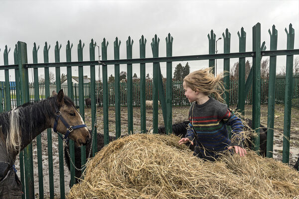 Amy and Horse, Tipperary, Ireland 2020