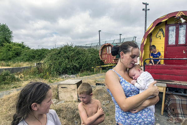 Biddy and Her Newborn Mikey, Tipperary, Ireland 2018
