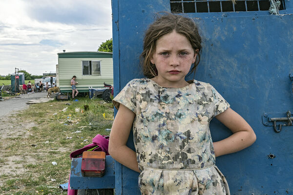 Biddy, Tipperary, Ireland 2020