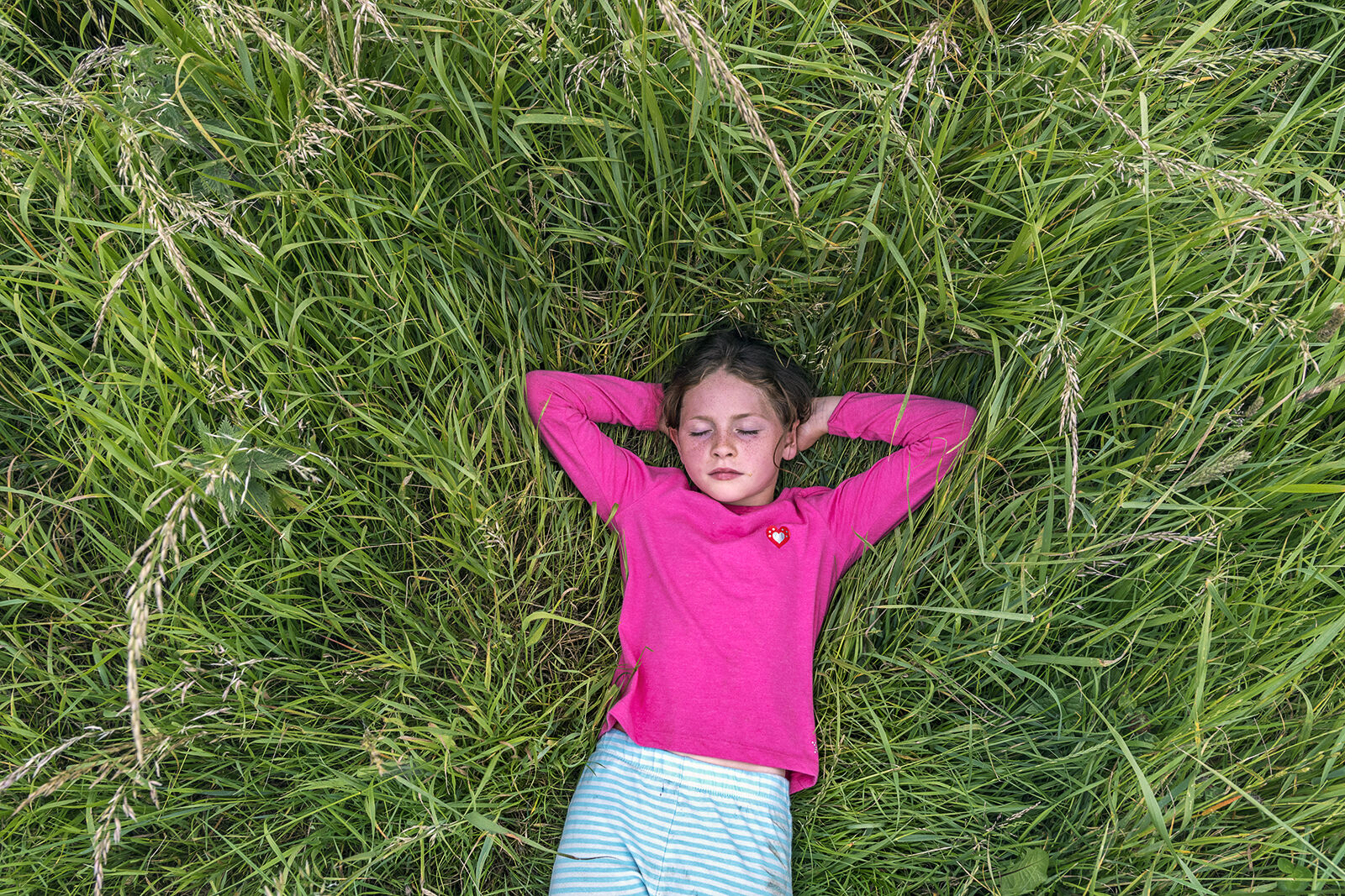 Biddy on The Grass, Tipperary, Ireland 2020