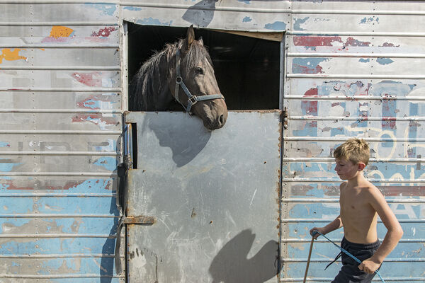 Ned and A Horse, Limerick, Ireland 2018