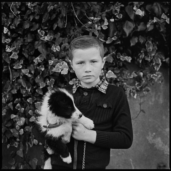 Boy with Sheepdog Pup, Ballinasloe, Galway, Ireland 2017
