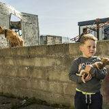 Boy with puppy, roadside campsite, Limerick, Ireland 2018
